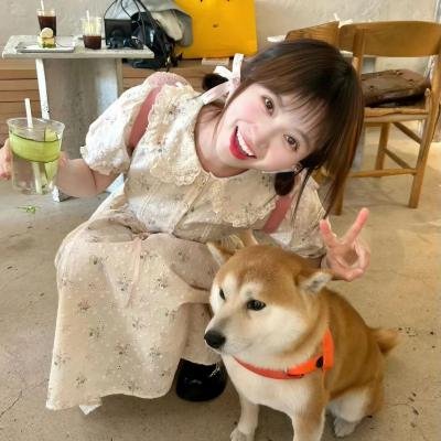 印花龙